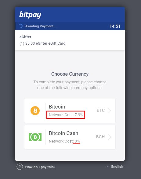 Bitpay Says They Paid 2 Million In Bitcoin Network Fees In December - 