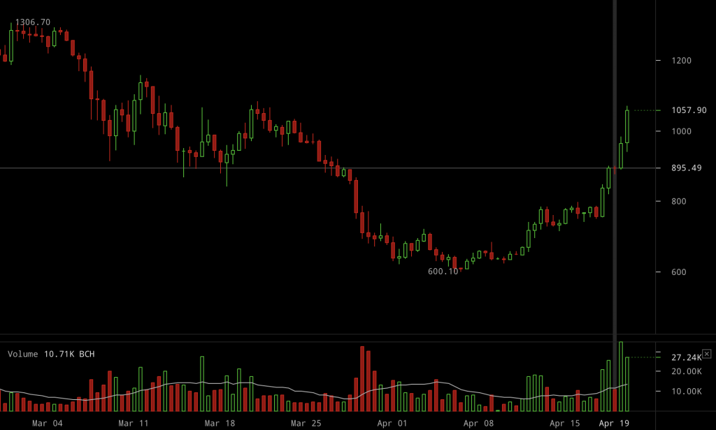 bitcoin cash s price on 6 hourly candles