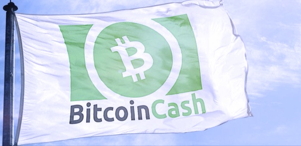 Bitcoin cash t shirt